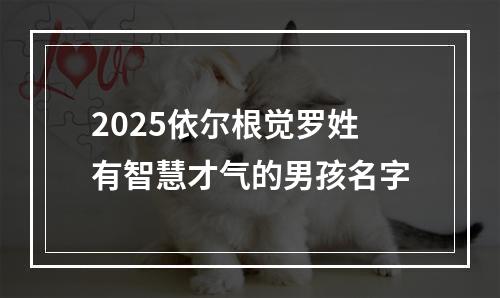 2025依尔根觉罗姓有智慧才气的男孩名字