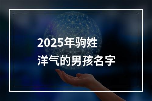 2025年驹姓洋气的男孩名字
