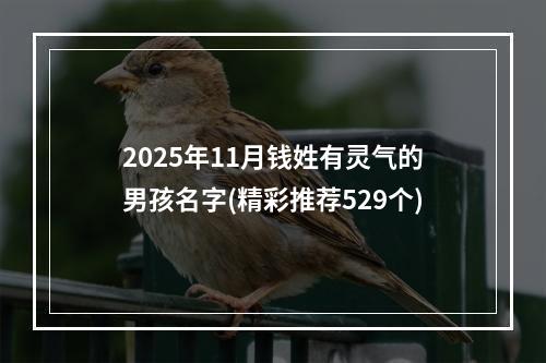 2025年11月钱姓有灵气的男孩名字(精彩推荐529个)