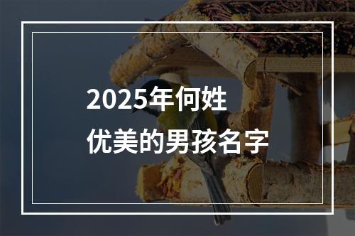 2025年何姓优美的男孩名字