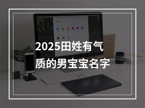 2025田姓有气质的男宝宝名字
