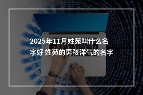 2025年11月姓苑叫什么名字好 姓苑的男孩洋气的名字