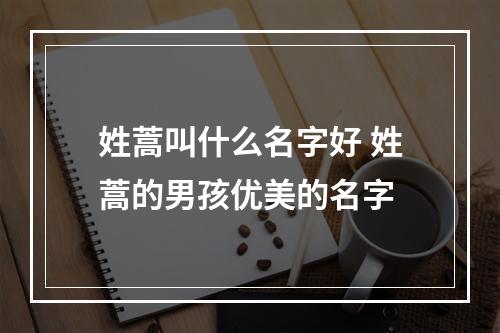 姓蒿叫什么名字好 姓蒿的男孩优美的名字