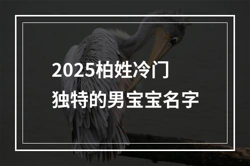 2025柏姓冷门独特的男宝宝名字