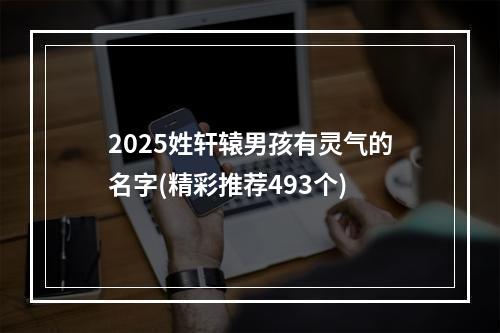 2025姓轩辕男孩有灵气的名字(精彩推荐493个)