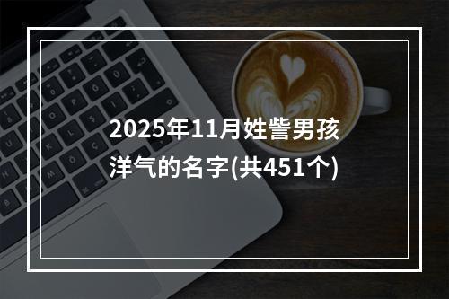 2025年11月姓訾男孩洋气的名字(共451个)