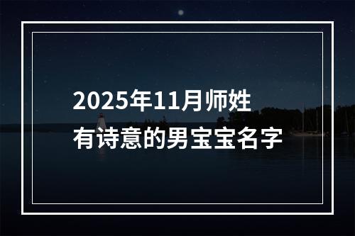 2025年11月师姓有诗意的男宝宝名字