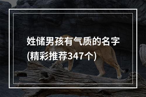 姓储男孩有气质的名字(精彩推荐347个)