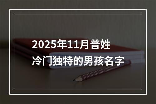 2025年11月普姓冷门独特的男孩名字