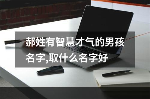 郝姓有智慧才气的男孩名字,取什么名字好
