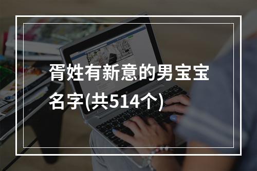 胥姓有新意的男宝宝名字(共514个)