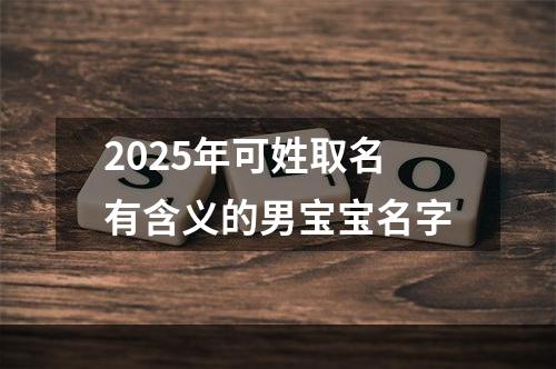 2025年可姓取名有含义的男宝宝名字