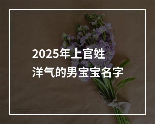 2025年上官姓洋气的男宝宝名字