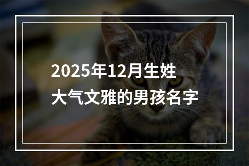 2025年12月生姓大气文雅的男孩名字