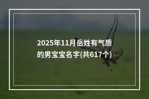 2025年11月岳姓有气质的男宝宝名字(共617个)