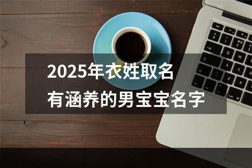 2025年衣姓取名有涵养的男宝宝名字