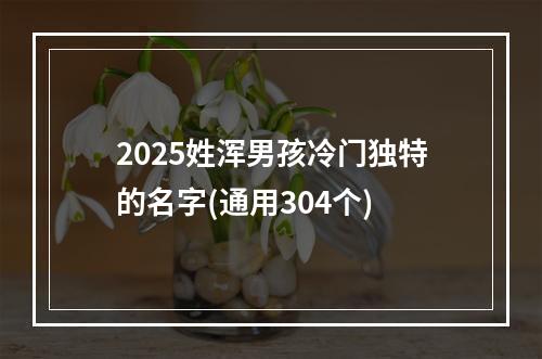 2025姓浑男孩冷门独特的名字(通用304个)