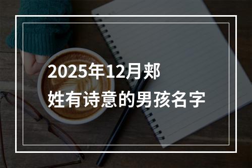 2025年12月郏姓有诗意的男孩名字
