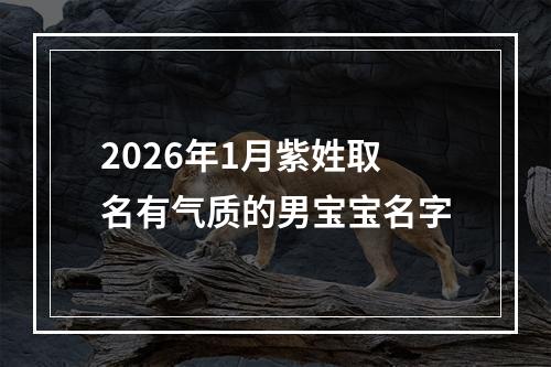 2026年1月紫姓取名有气质的男宝宝名字