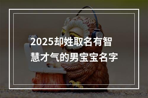 2025却姓取名有智慧才气的男宝宝名字
