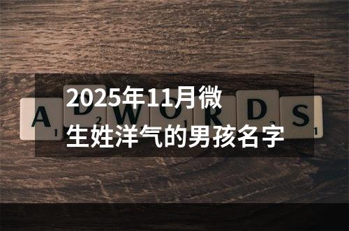 2025年11月微生姓洋气的男孩名字