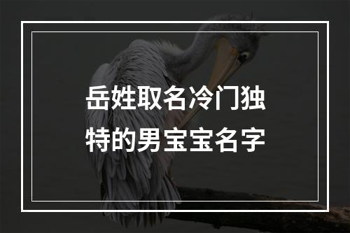 岳姓取名冷门独特的男宝宝名字
