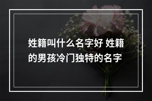 姓籍叫什么名字好 姓籍的男孩冷门独特的名字