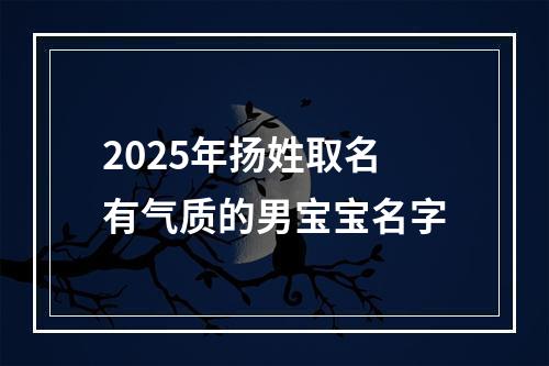 2025年扬姓取名有气质的男宝宝名字