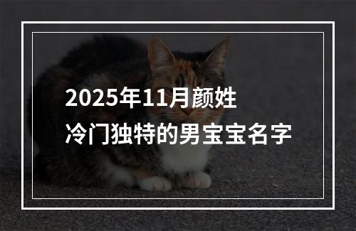2025年11月颜姓冷门独特的男宝宝名字