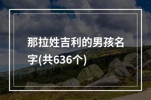 那拉姓吉利的男孩名字(共636个)