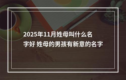 2025年11月姓母叫什么名字好 姓母的男孩有新意的名字