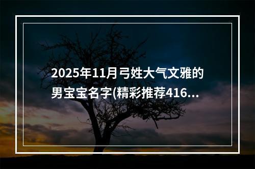 2025年11月弓姓大气文雅的男宝宝名字(精彩推荐416个)
