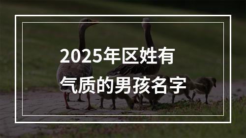 2025年区姓有气质的男孩名字