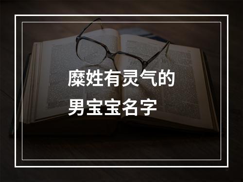糜姓有灵气的男宝宝名字