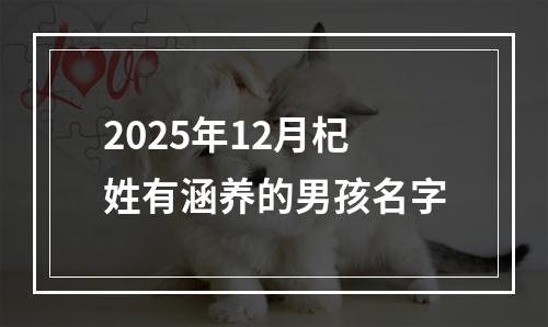 2025年12月杞姓有涵养的男孩名字