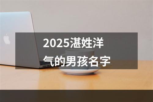 2025湛姓洋气的男孩名字