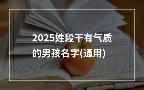 2025姓段干有气质的男孩名字(通用)