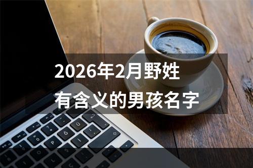 2026年2月野姓有含义的男孩名字
