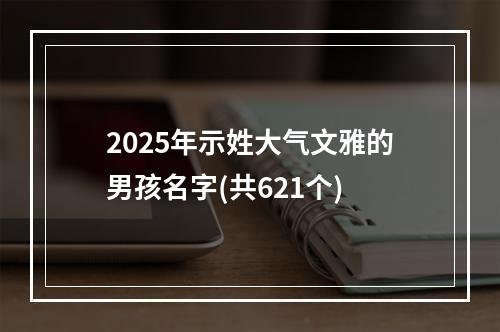 2025年示姓大气文雅的男孩名字(共621个)