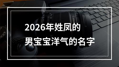 2026年姓凤的男宝宝洋气的名字