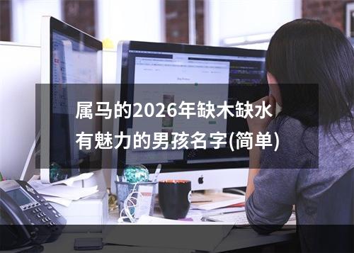 属马的2026年缺木缺水有魅力的男孩名字(简单)