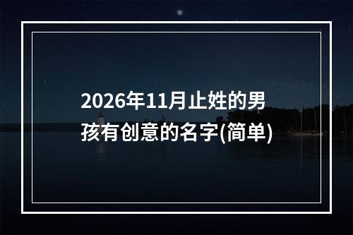 2026年11月止姓的男孩有创意的名字(简单)