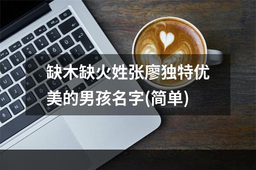 缺木缺火姓张廖独特优美的男孩名字(简单)