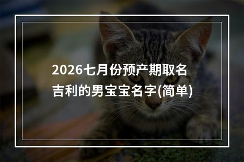 2026七月份预产期取名吉利的男宝宝名字(简单)