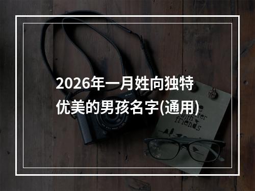 2026年一月姓向独特优美的男孩名字(通用)