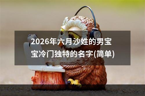 2026年六月沙姓的男宝宝冷门独特的名字(简单)