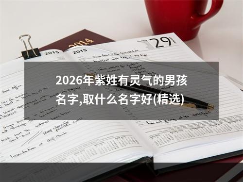 2026年紫姓有灵气的男孩名字,取什么名字好(精选)