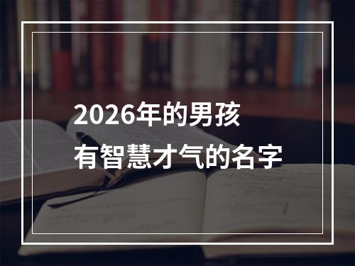 2026年的男孩有智慧才气的名字