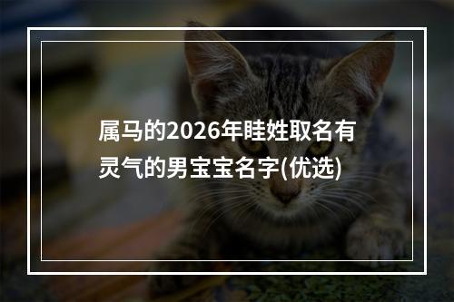 属马的2026年眭姓取名有灵气的男宝宝名字(优选)