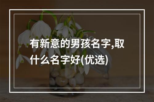 有新意的男孩名字,取什么名字好(优选)
